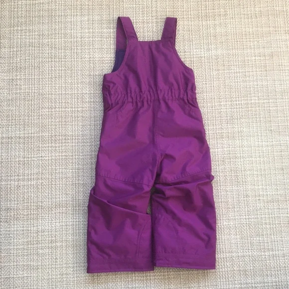 Patagonia Snow Bib (size 3T)